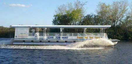 the dolphin explorer tour boat